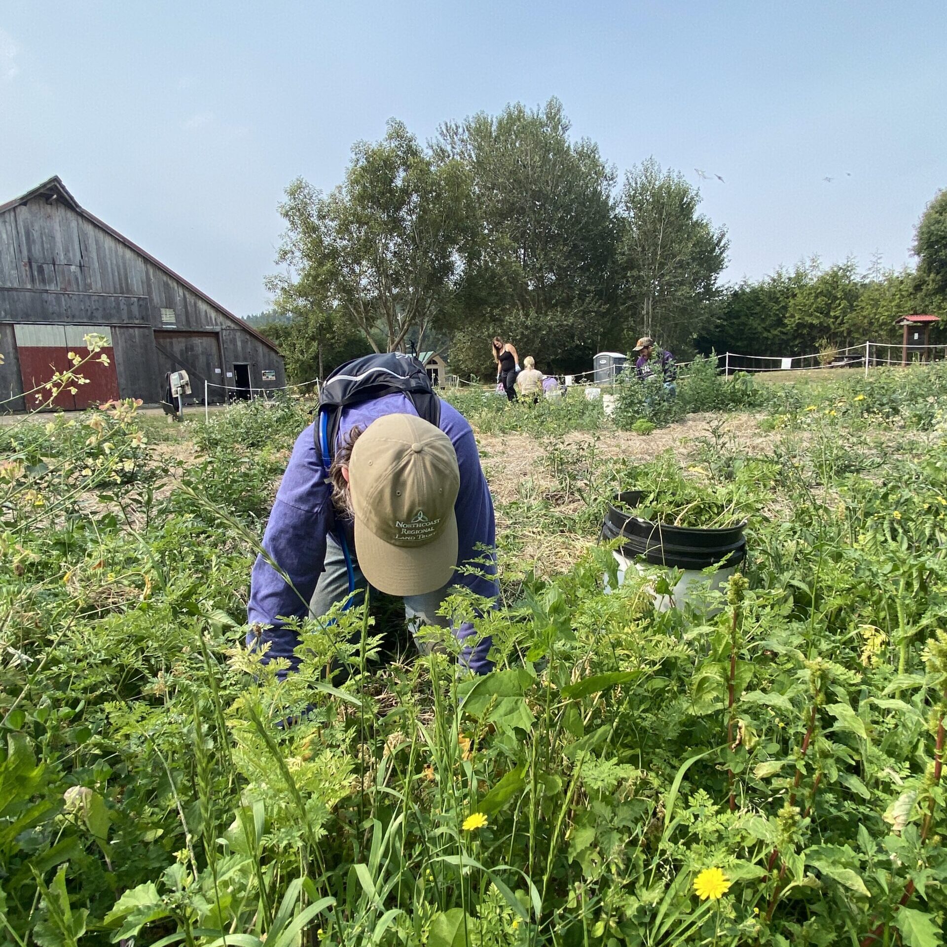 Stewardship Work Day in Partnership with the Humboldt Trails Council
