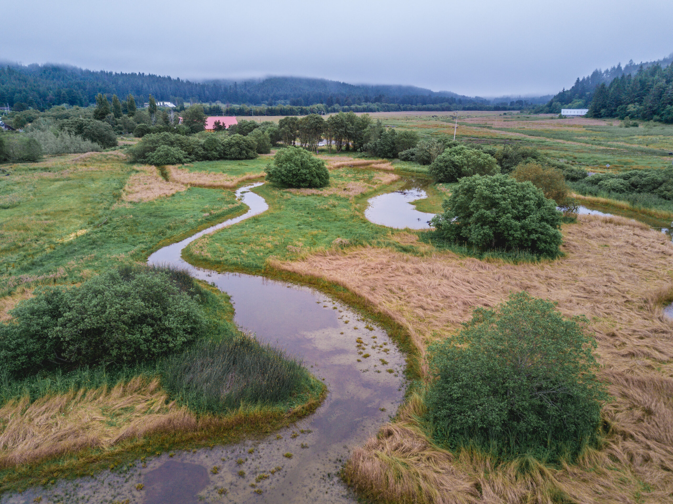 Wood Creek Restoration Presentation