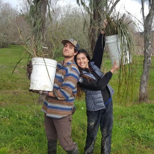 Stewardship Work Day in Partnership with the Humboldt Trails Council
