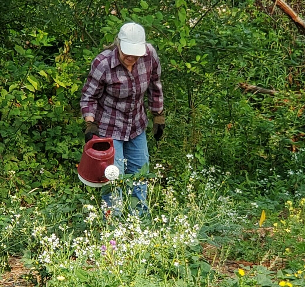 Stewardship Work Day in Partnership with the Humboldt Trails Council