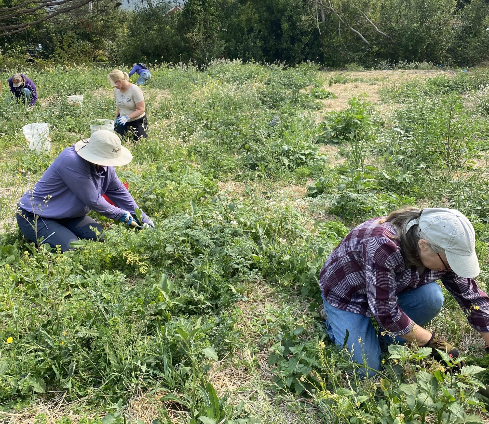 Stewardship Work Day in Partnership with the Humboldt Trails Council