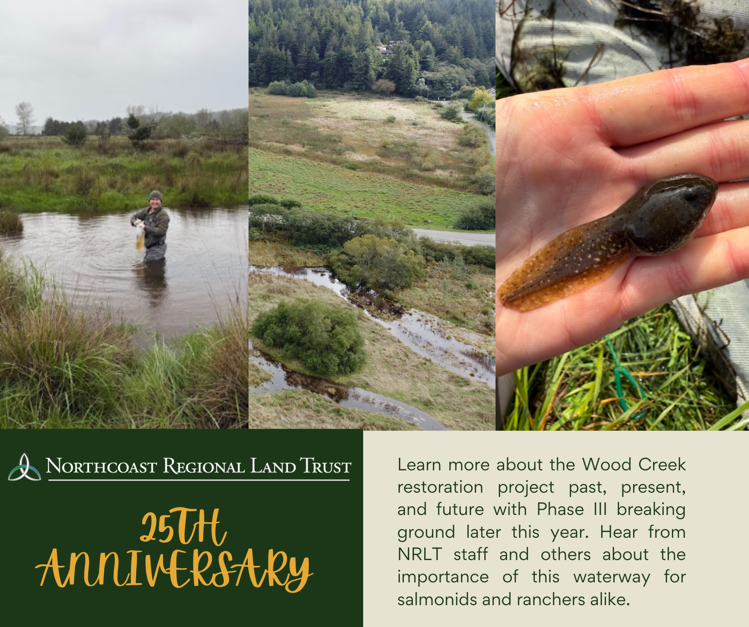 Community Presentation: Wood Creek Restoration