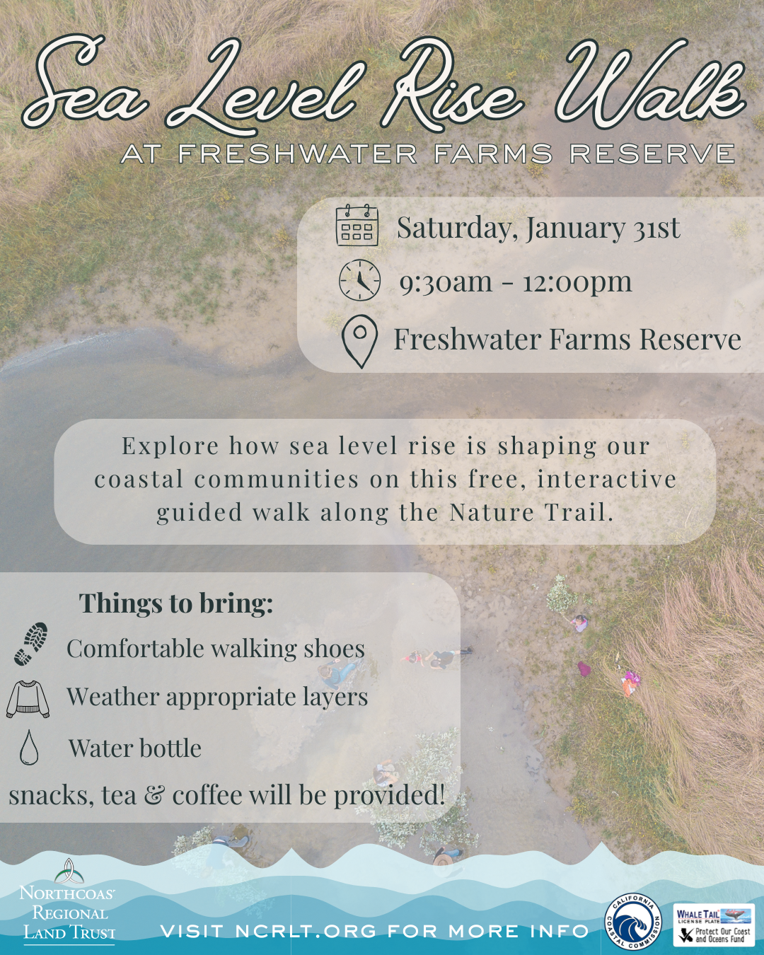 Sea Level Rise Walk