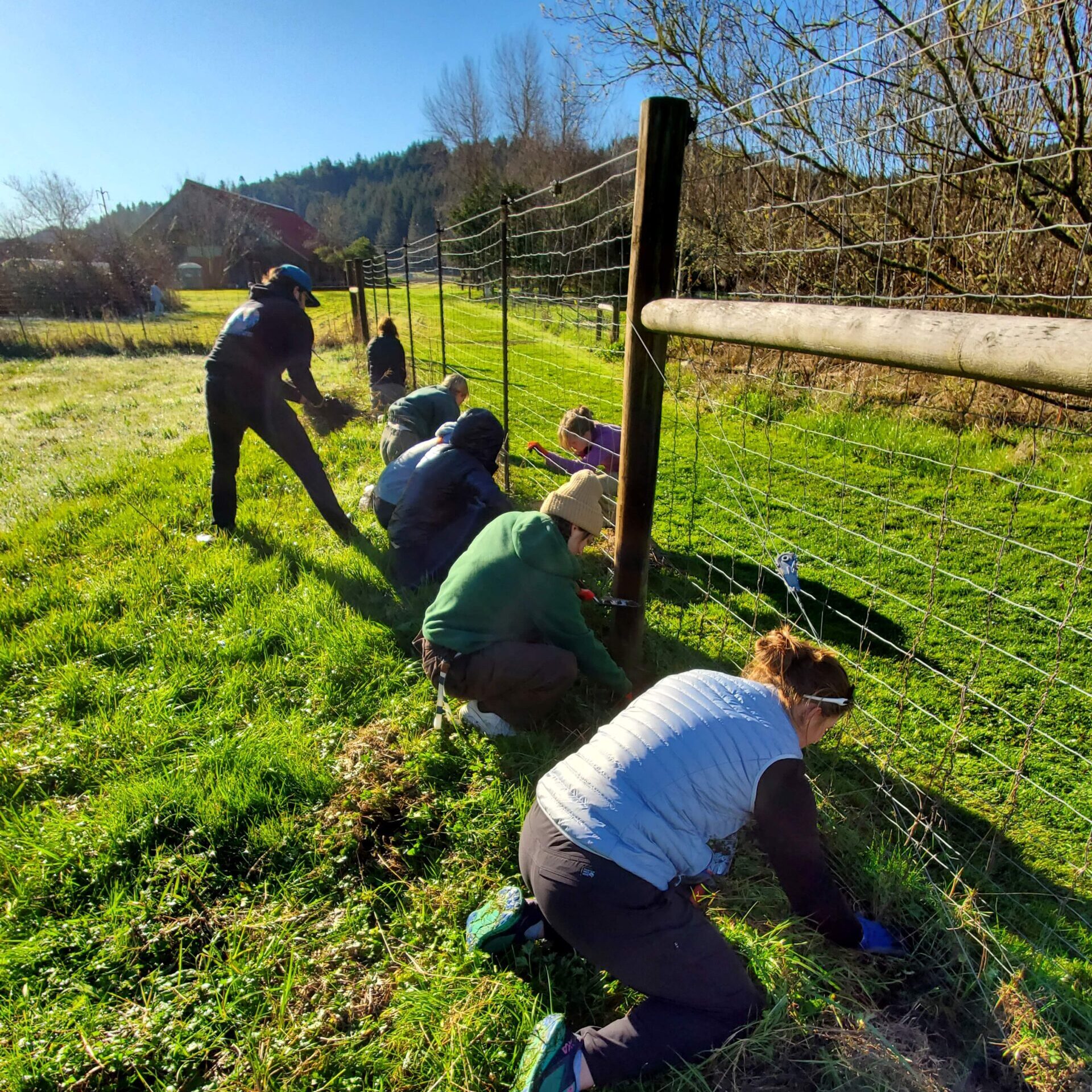 Stewardship Work Day in Partnership with the Humboldt Trails Council